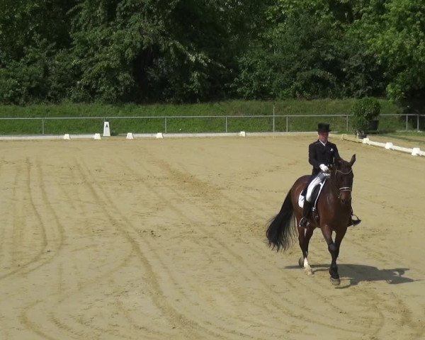 Reitturnier Ladenburg 2018