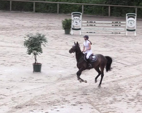 Reitturnier Erkrath - Uhlenhof 2018