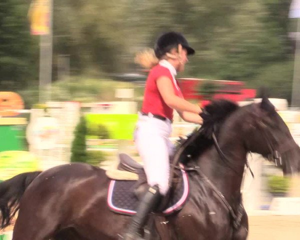 Reitturnier Detmold-Remmighausen 2018