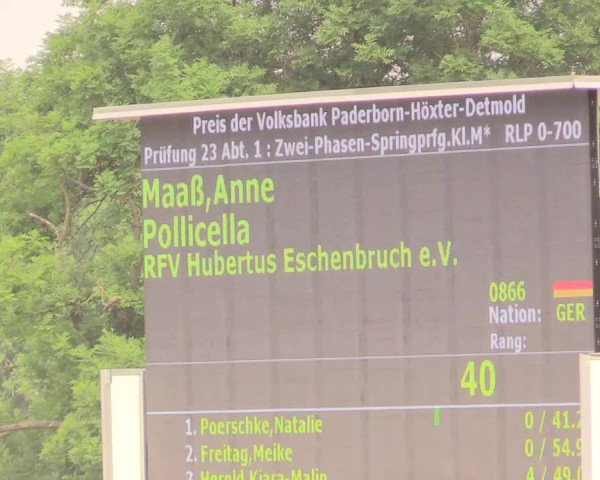 Reitturnier Detmold-Remmighausen 2018
