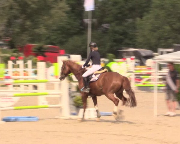 Reitturnier Detmold-Remmighausen 2018