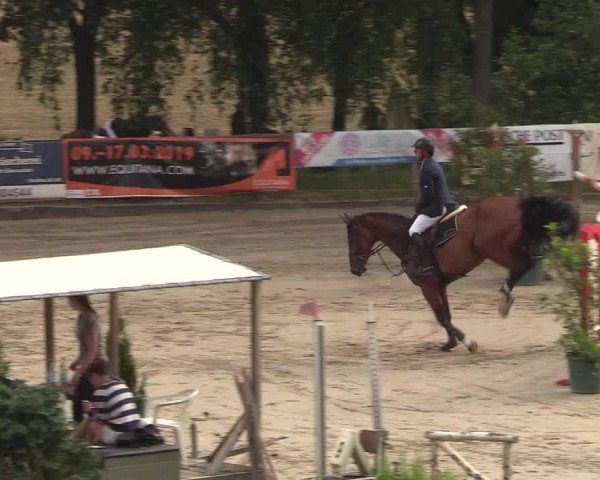 Reitturnier Erkrath - Uhlenhof 2018