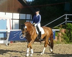 dressage horse Rubinjero (Hanoverian, 2009, from Rotspon)