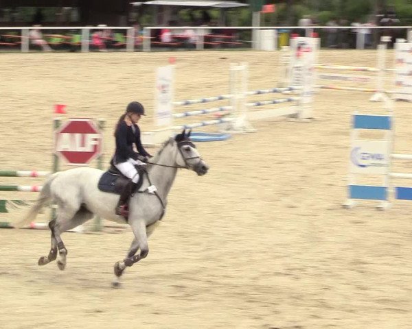 Reitturnier Fröndenberg 2018