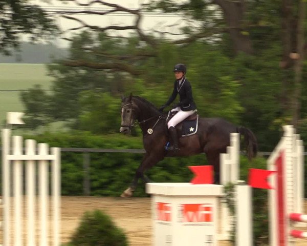 Reitturnier Fröndenberg 2018