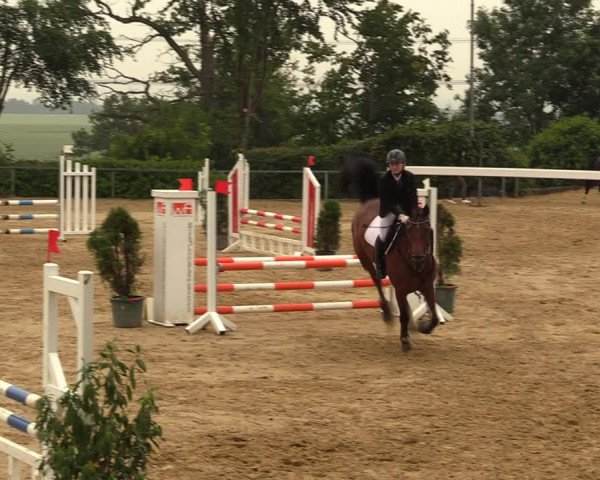 Reitturnier Fröndenberg 2018
