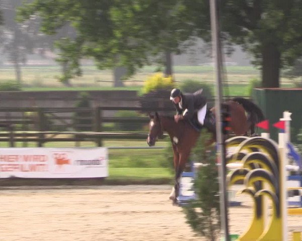 Reitturnier Coesfeld/Lette 2018