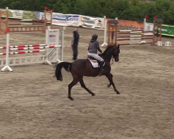 Reitturnier Fröndenberg 2018