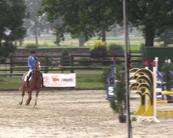 Reitturnier Coesfeld/Lette 2018