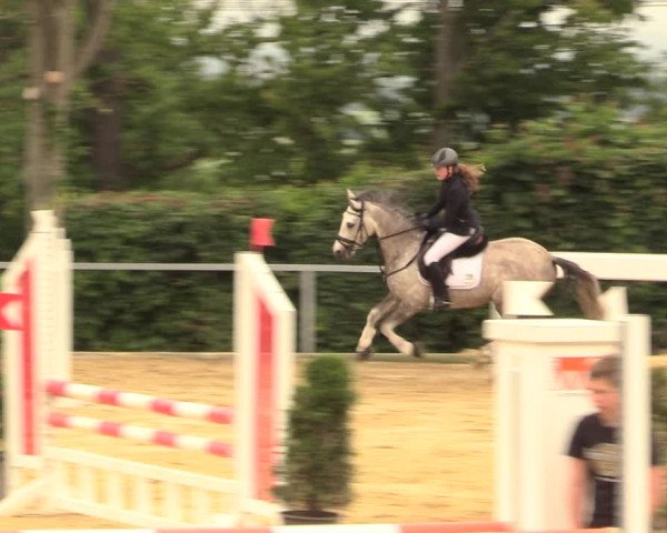 Reitturnier Fröndenberg 2018