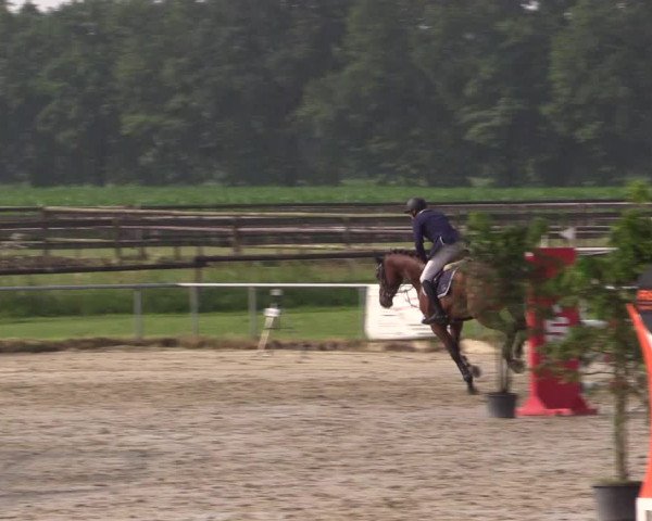 Reitturnier Coesfeld/Lette 2018
