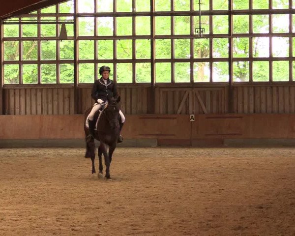 Reitturnier Fröndenberg 2018