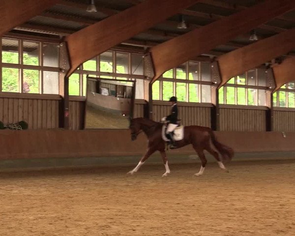 Reitturnier Fröndenberg 2018