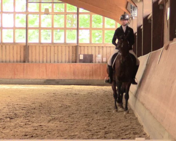 Reitturnier Fröndenberg 2018