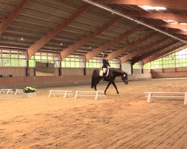 Reitturnier Fröndenberg 2018