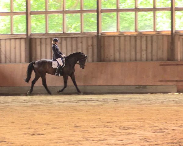 Reitturnier Fröndenberg 2018