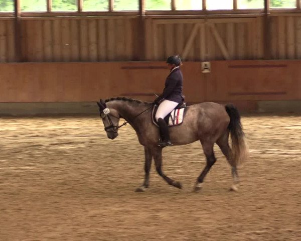 Reitturnier Fröndenberg 2018