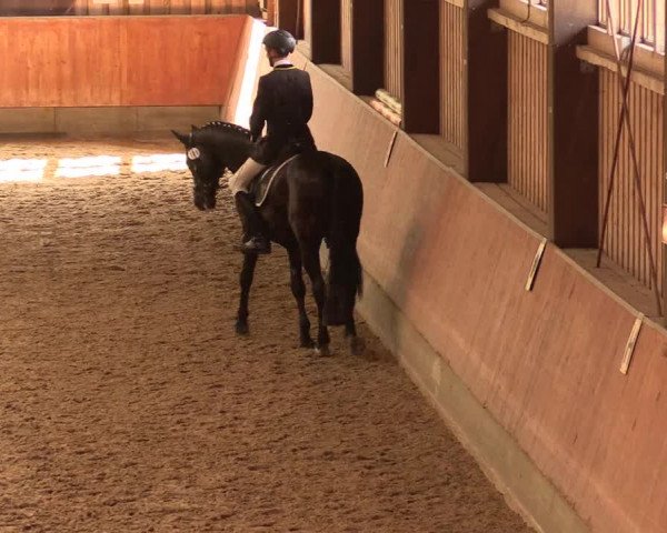Reitturnier Fröndenberg 2018