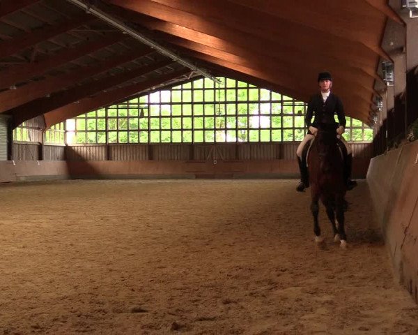 Reitturnier Fröndenberg 2018