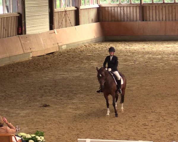 Reitturnier Fröndenberg 2018
