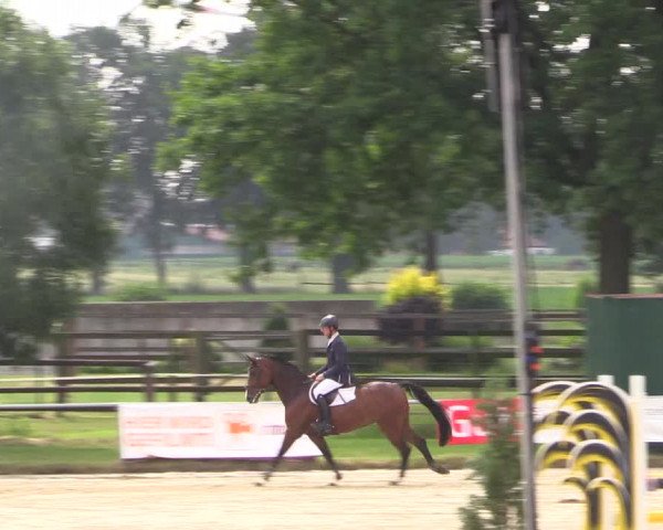 Reitturnier Coesfeld/Lette 2018