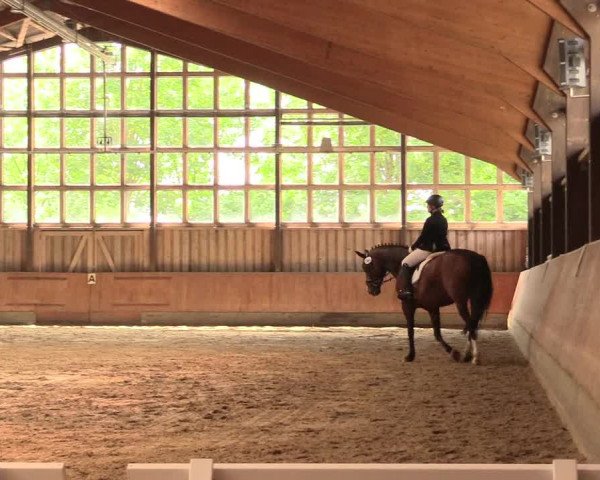 Reitturnier Fröndenberg 2018