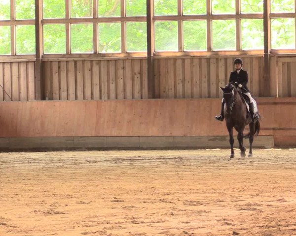 Reitturnier Fröndenberg 2018