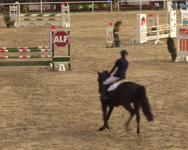 Reitturnier Fröndenberg 2018
