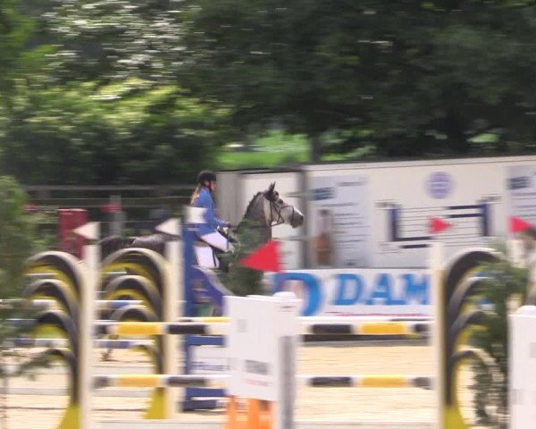 Reitturnier Coesfeld/Lette 2018