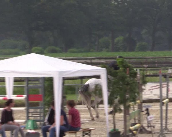 Reitturnier Coesfeld/Lette 2018