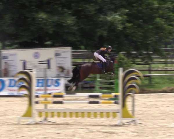 Reitturnier Coesfeld/Lette 2018