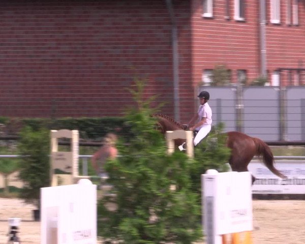 Reitturnier Coesfeld/Lette 2018