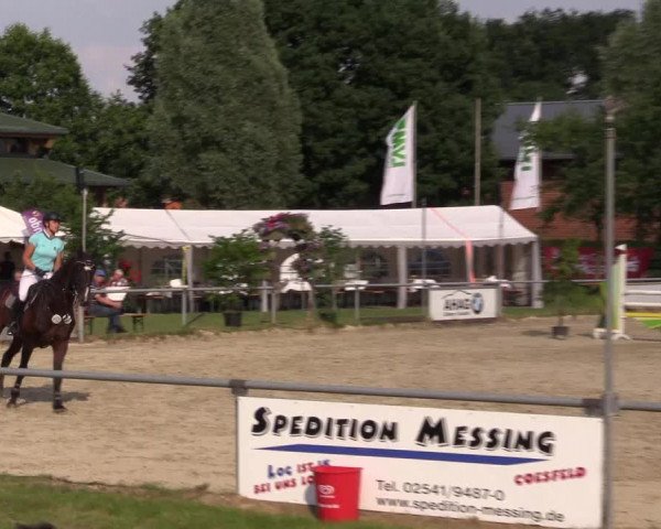 Reitturnier Coesfeld/Lette 2018