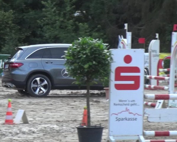 Reitturnier Remscheid, Buscher Hof 2018