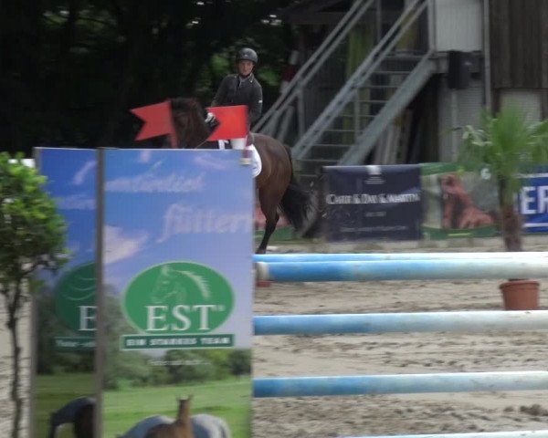 Reitturnier Remscheid, Buscher Hof 2018