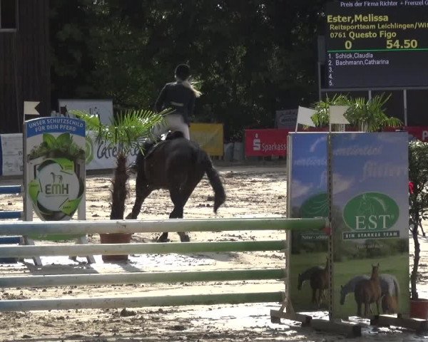 Reitturnier Remscheid, Buscher Hof 2018