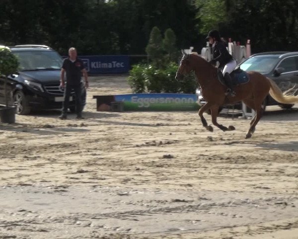 Reitturnier Remscheid, Buscher Hof 2018