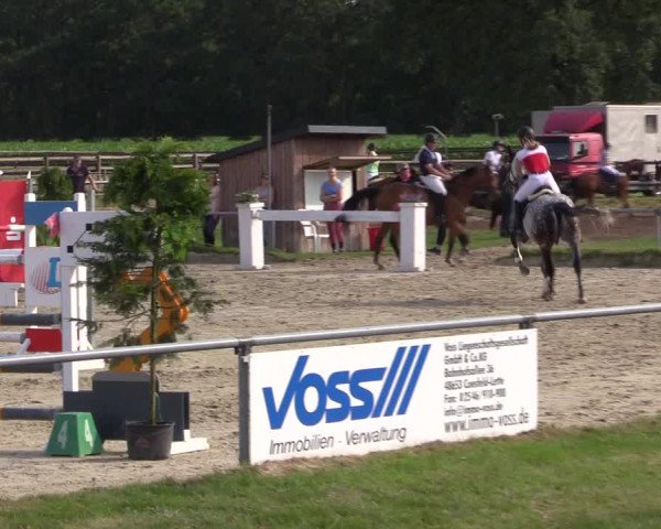 Reitturnier Coesfeld/Lette 2018