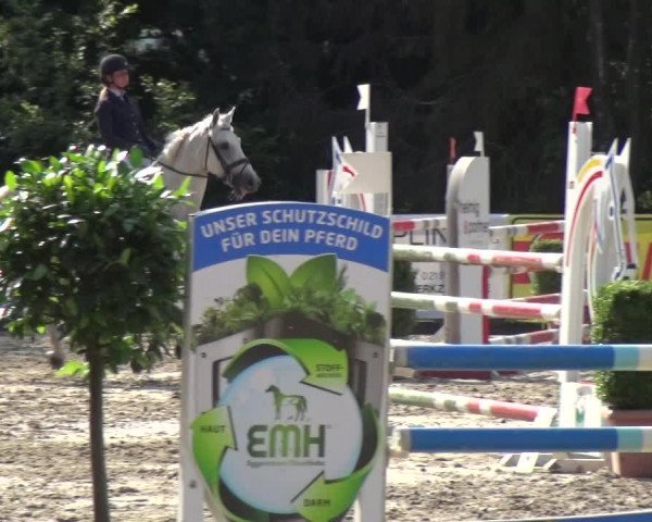 Reitturnier Remscheid, Buscher Hof 2018
