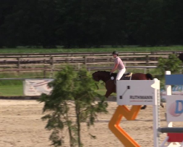 Reitturnier Coesfeld/Lette 2018