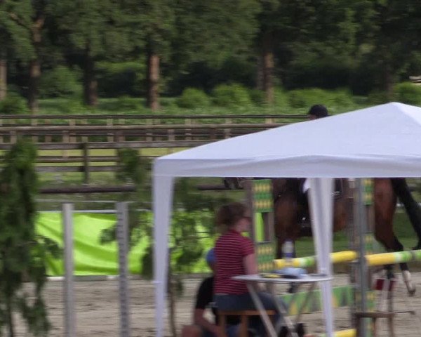 Reitturnier Coesfeld/Lette 2018