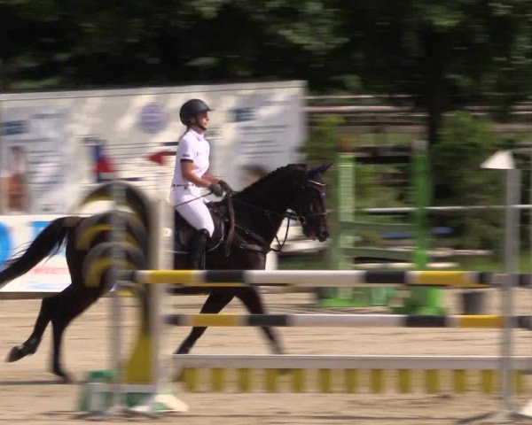 Reitturnier Coesfeld/Lette 2018