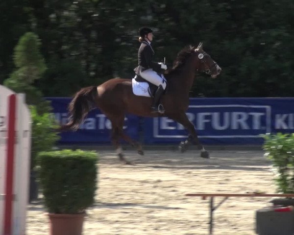 Reitturnier Remscheid, Buscher Hof 2018