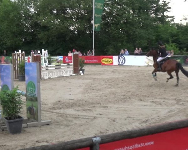Reitturnier Remscheid, Buscher Hof 2018
