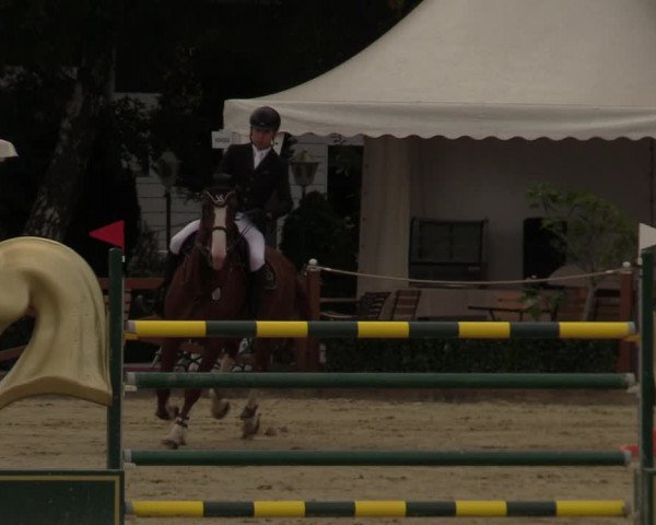 Equus Colonius - Reitanlage Brüse Köln 2021