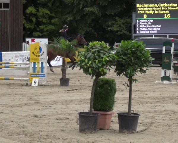 Reitturnier Remscheid, Buscher Hof 2018
