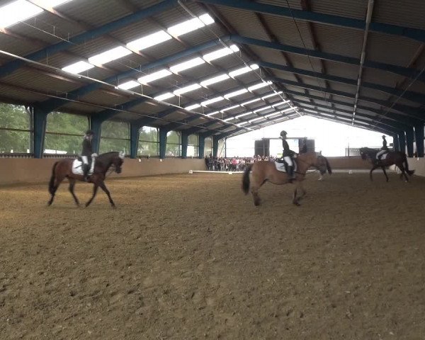 Reitturnier Remscheid, Buscher Hof 2018