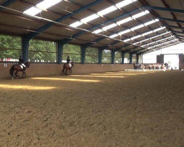 Reitturnier Remscheid, Buscher Hof 2018
