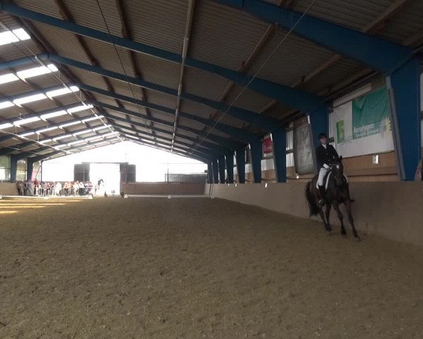 Reitturnier Remscheid, Buscher Hof 2018
