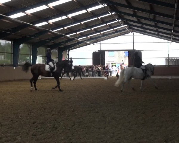 Reitturnier Remscheid, Buscher Hof 2018
